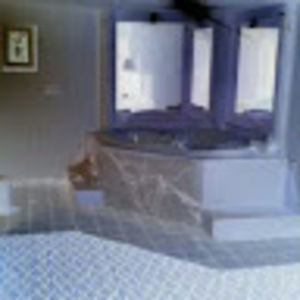 Meet your Posher, Collin